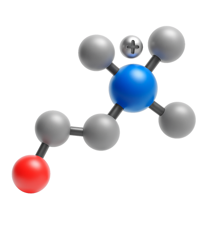 Alpha-GPC and Citicoline